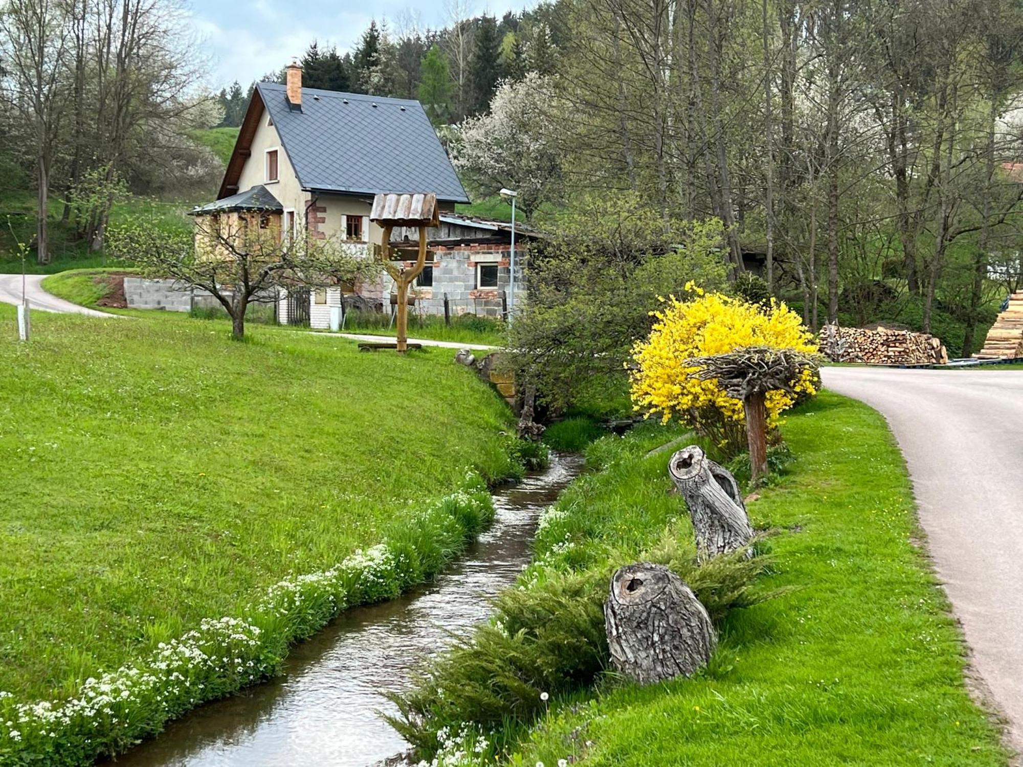 Little Cottage No.100 Vidochov Exterior foto